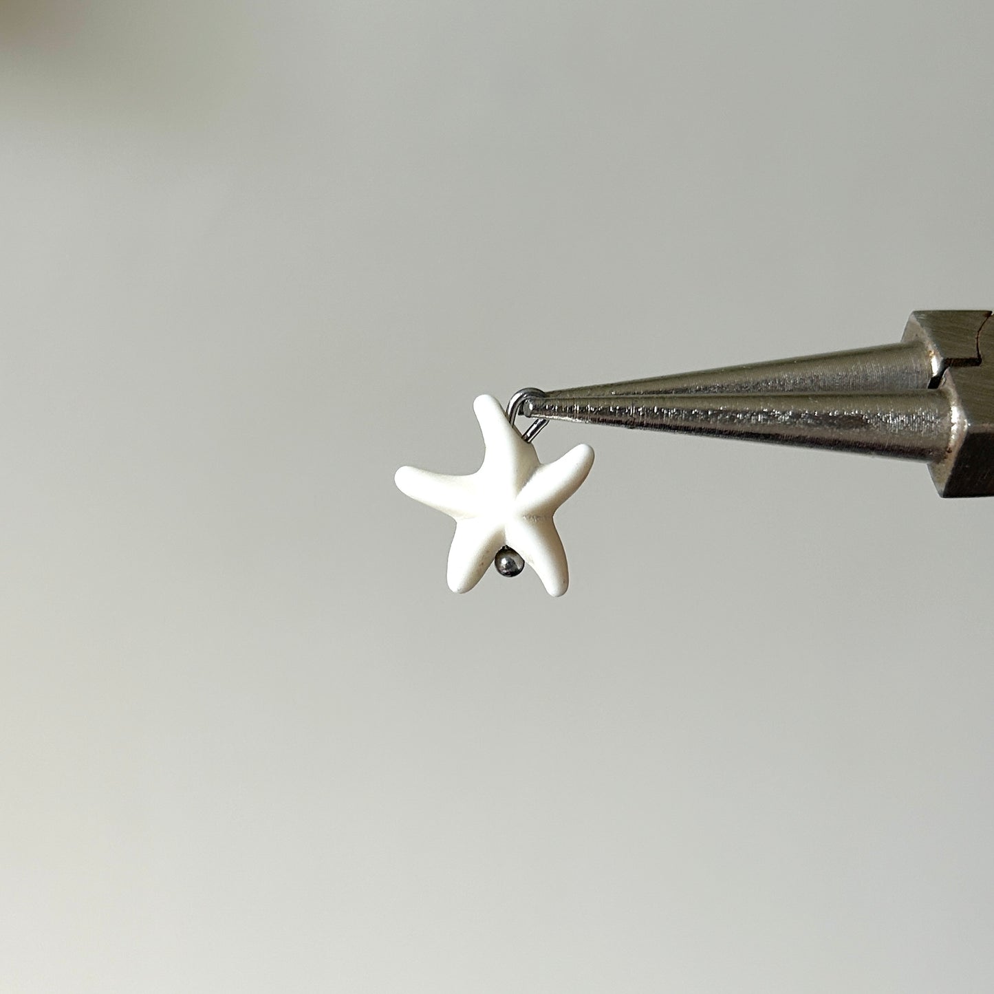 charm estrella de mar