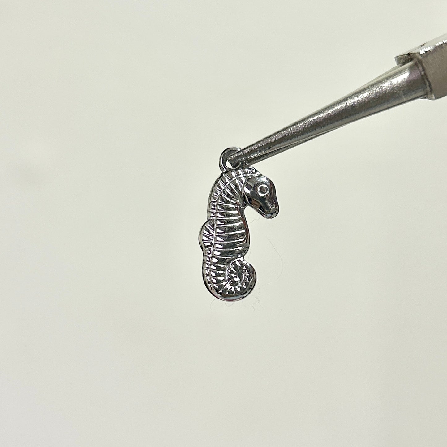 charm caballito de mar