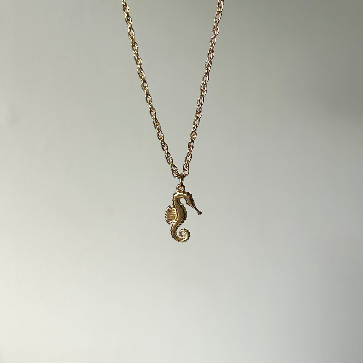 seahorse soul necklace