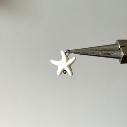 charm estrella de mar