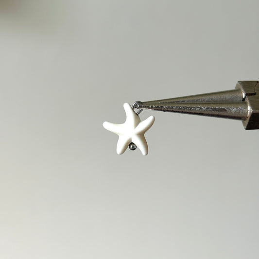 charm estrella de mar