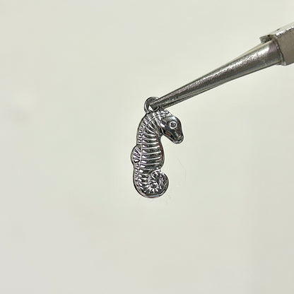 charm caballito de mar