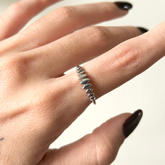 spine ring