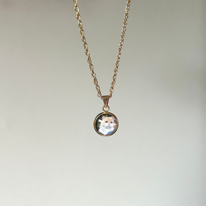 encapsulated necklaces (customizable image)