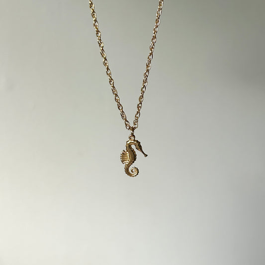 seahorse soul necklace